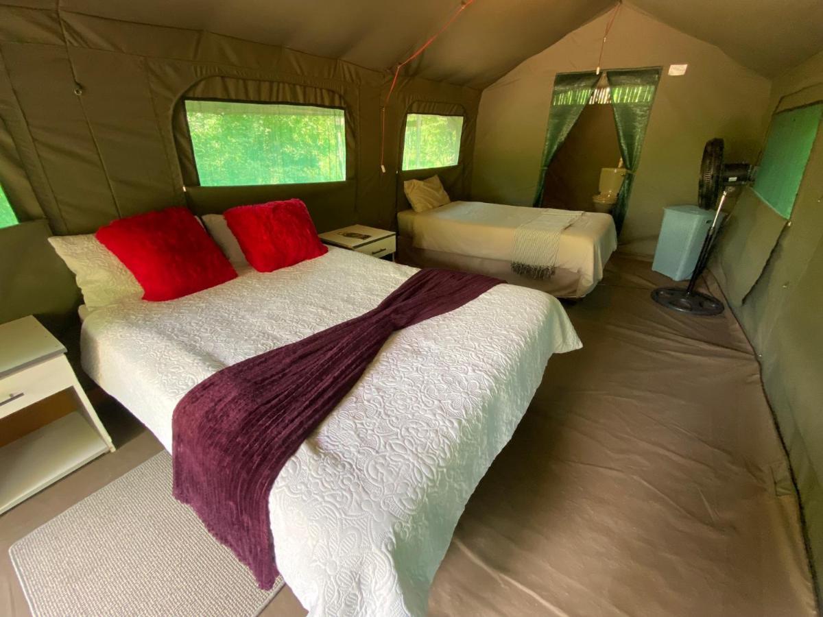Mzsingitana Tented Camp 호에드스프뤼트 외부 사진