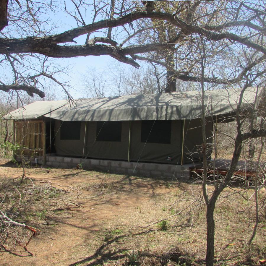 Mzsingitana Tented Camp 호에드스프뤼트 외부 사진