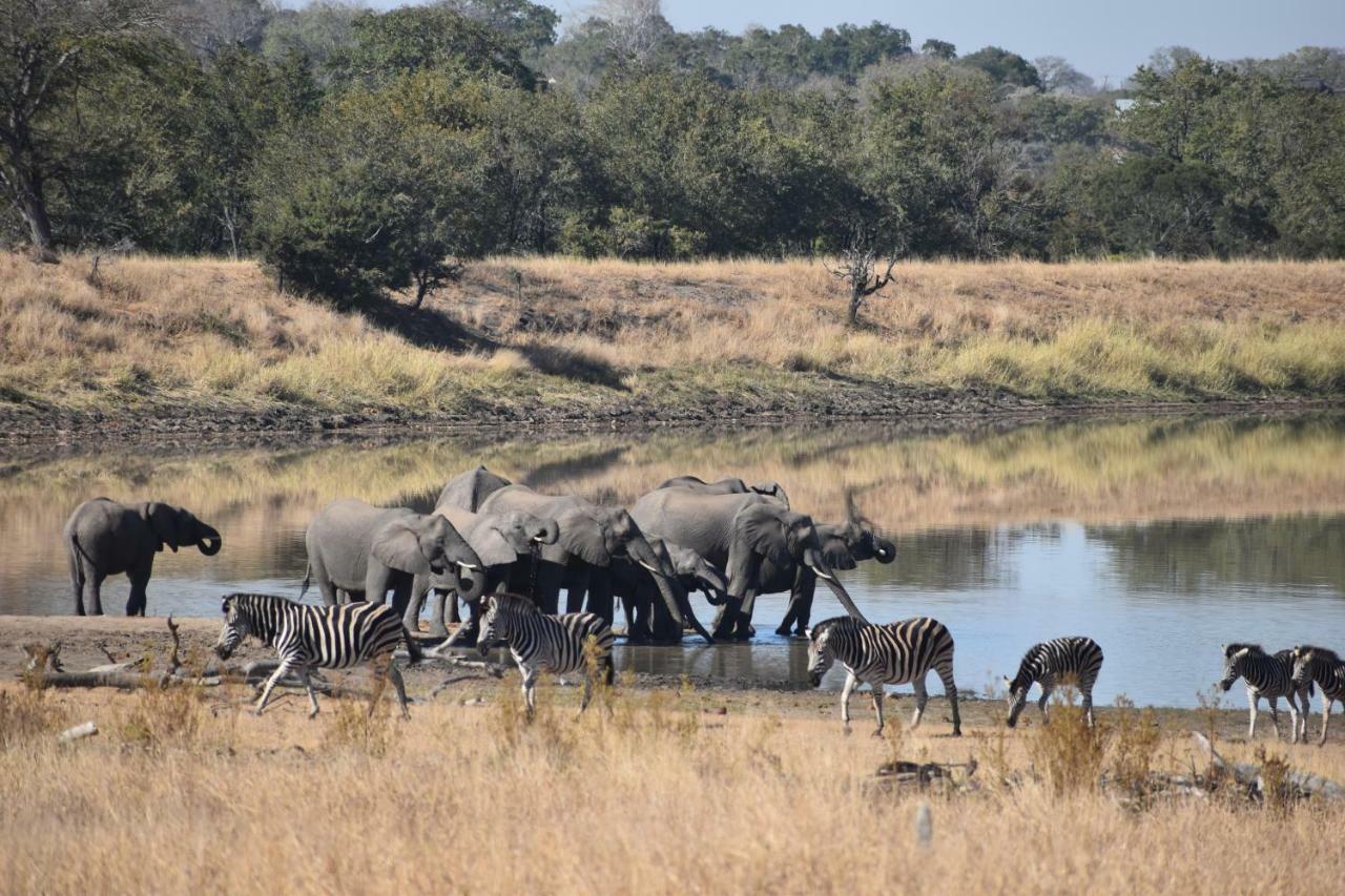 Mzsingitana Tented Camp 호에드스프뤼트 외부 사진