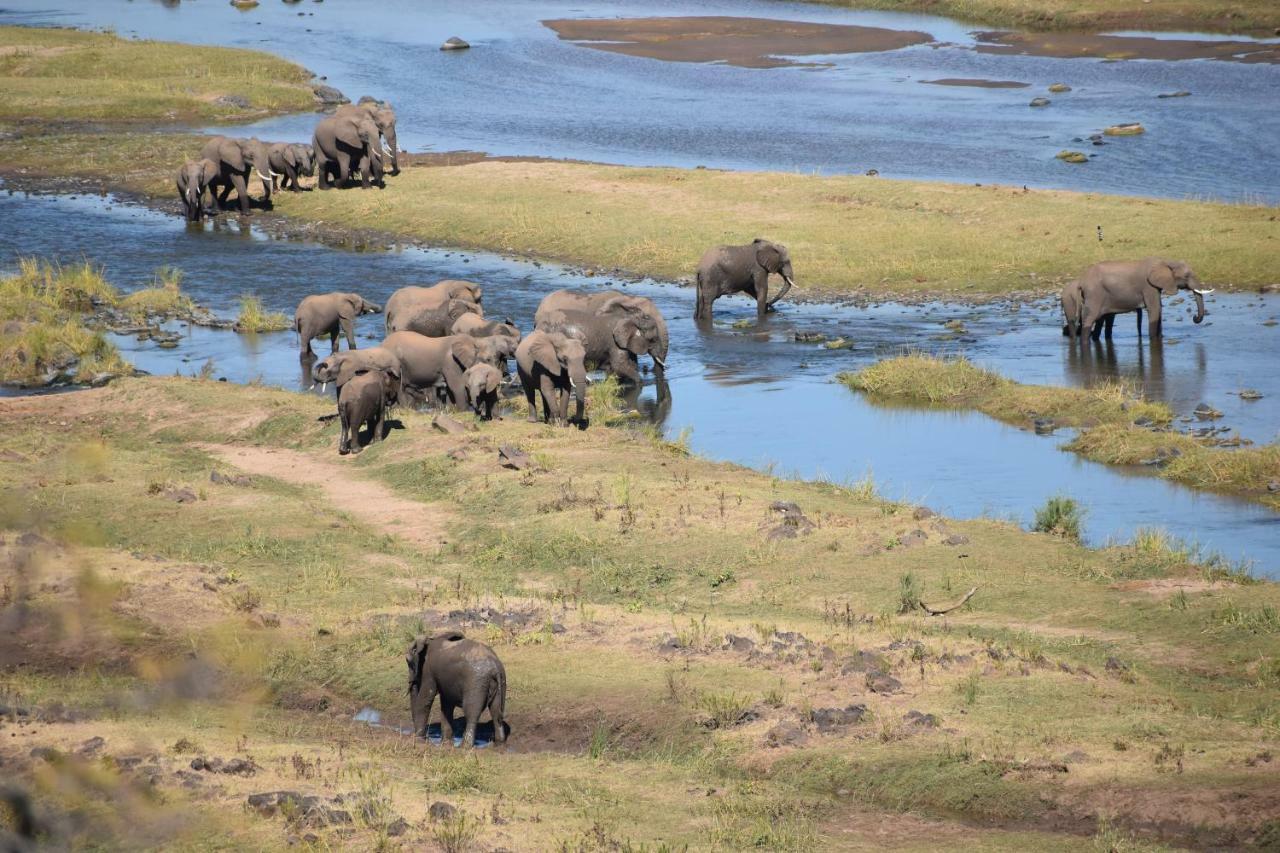 Mzsingitana Tented Camp 호에드스프뤼트 외부 사진