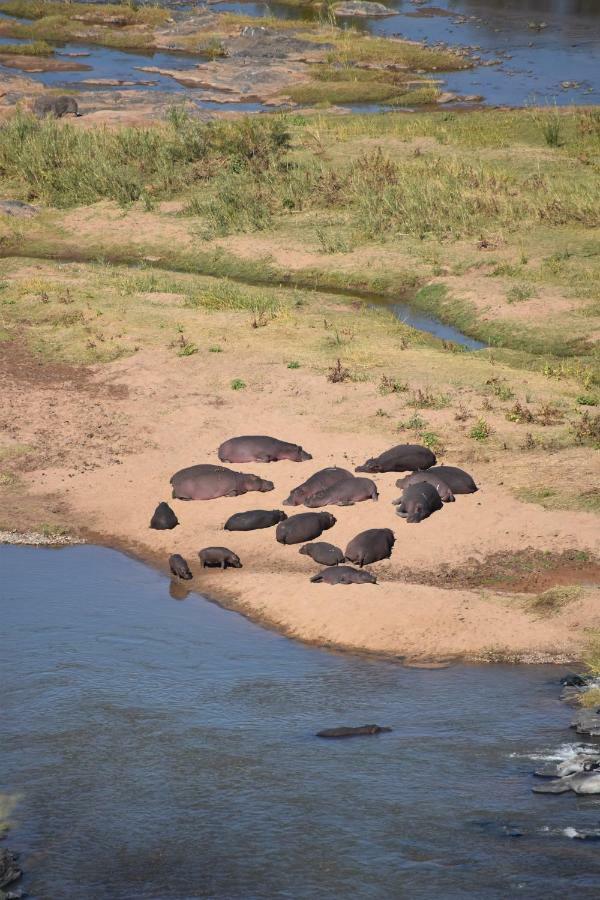 Mzsingitana Tented Camp 호에드스프뤼트 외부 사진