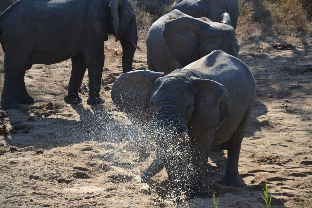 Mzsingitana Tented Camp 호에드스프뤼트 외부 사진